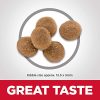 Hill's Science Diet Adult Sensitive Stomach & Skin Dry Cat Food, Chicken & Rice Recipe, 3.5 lb Bag - Image 8