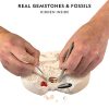 NATIONAL GEOGRAPHIC Gem Fossil Dig Kit - Mega Dig Kit for Kids with 10 Gemstone & 10 Fossil Specimens, Excavation Tools Included, Great STEM Activity for Curious Boys and Girls Who Love to Explore - Image 6