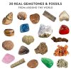NATIONAL GEOGRAPHIC Gem Fossil Dig Kit - Mega Dig Kit for Kids with 10 Gemstone & 10 Fossil Specimens, Excavation Tools Included, Great STEM Activity for Curious Boys and Girls Who Love to Explore - Image 5
