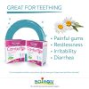 Boiron Camilia Baby Teething Relief Medicine, 30 unit-doses (1 ml each). Camilia relieves pain, restlessness, irritability, and diarrhea due to teething. Benzocaine-Free and Preservative-Free with Natural Active Ingredient, No Sugar, No Dye - Image 6
