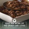 Fancy Feast Wet Cat Food, Gravy Lovers Variety Pack 85 g Cans (24 pack) - Image 8