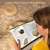 NATIONAL GEOGRAPHIC Gem Fossil Dig Kit - Mega Dig Kit for Kids with 10 Gemstone & 10 Fossil Specimens, Excavation Tools Included, Great STEM Activity for Curious Boys and Girls Who Love to Explore - Image 2